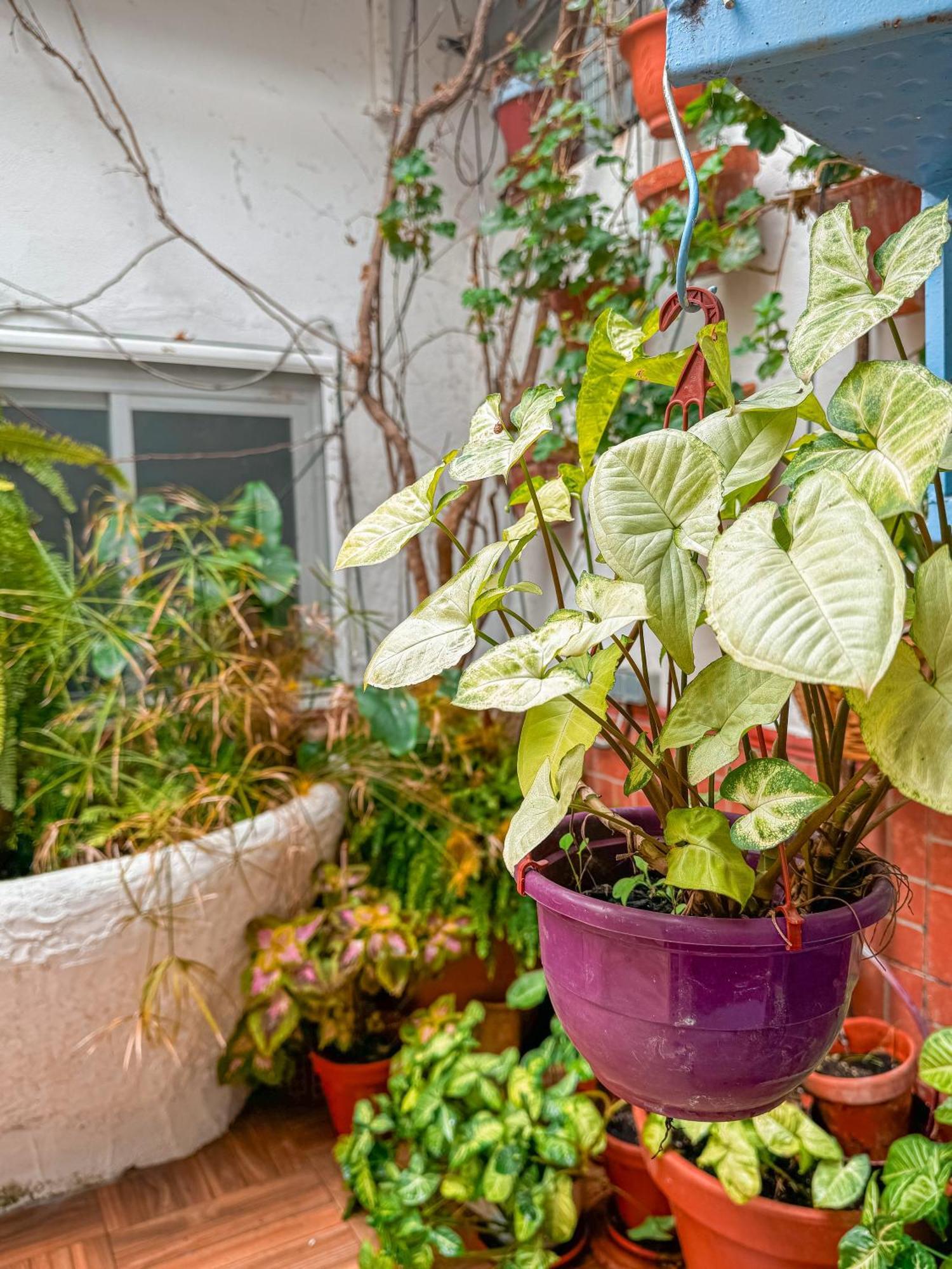 Casa Cruz Villa Almodóvar del Río Eksteriør bilde